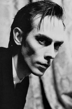 Peter Murphy